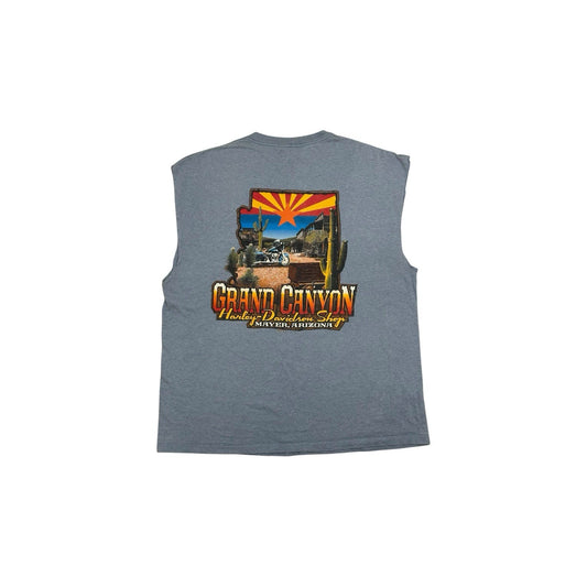 Harley Davidson Sleeveless T-Shirt Grand Canyon Graphic Grey Men’s XL Beefy-T