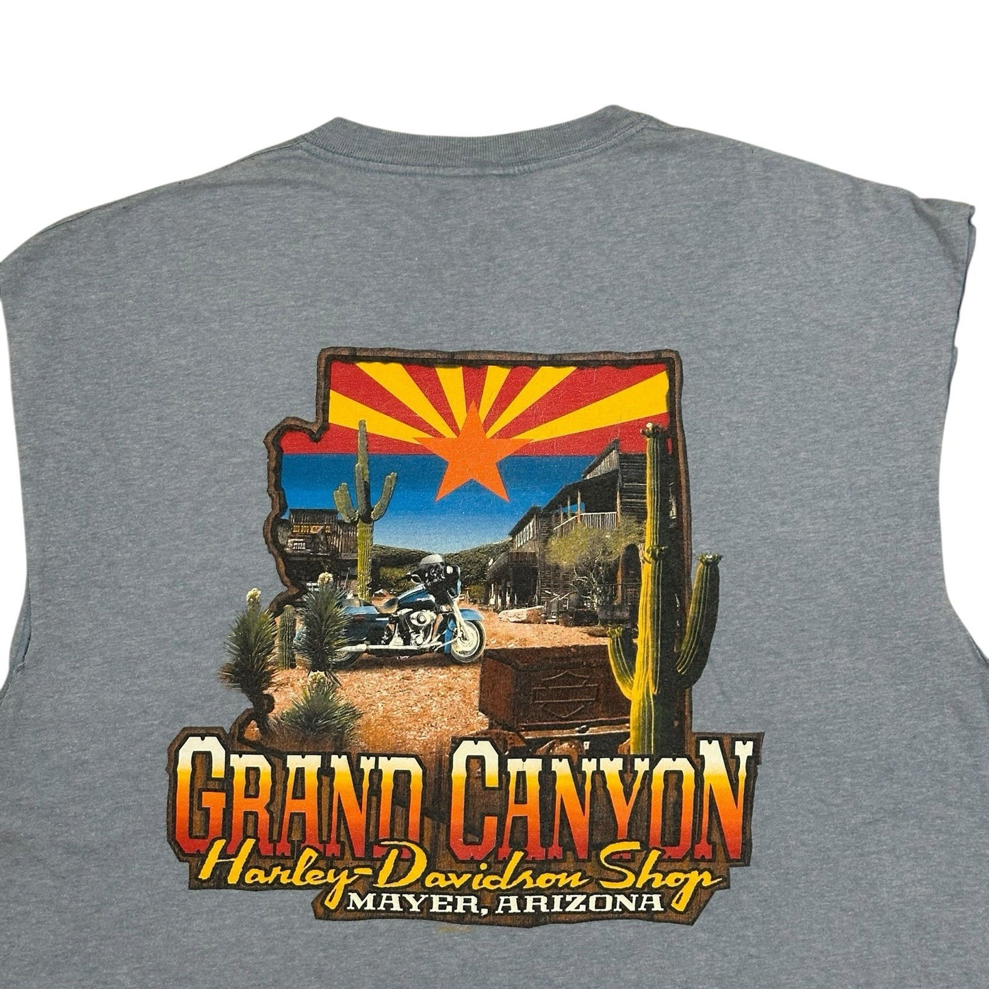 Harley Davidson Sleeveless T-Shirt Grand Canyon Graphic Grey Men’s XL Beefy-T