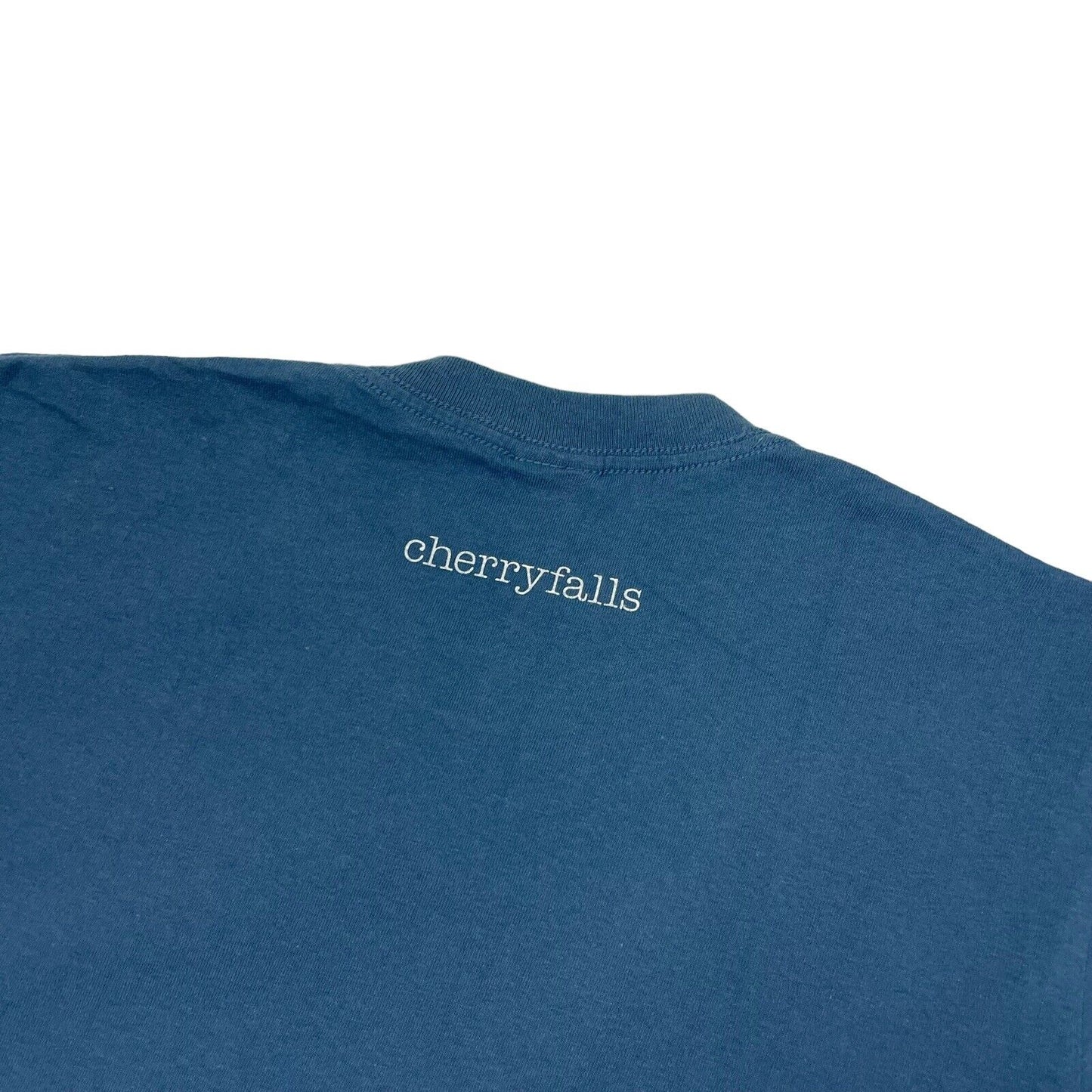 Vintage Cherryfalls T-Shirt Mens Small Gildan Blue Graphic Print For All My Sins